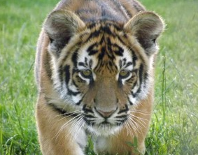 Paradise Wildlife Park