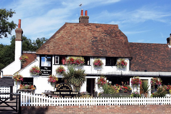 The White Swan